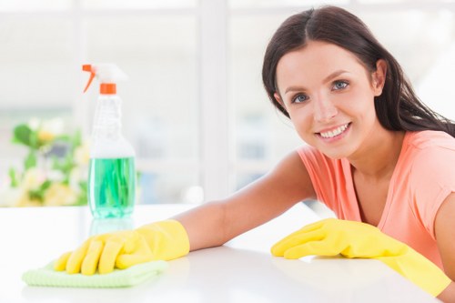 Professional oven cleaning in SE5 removing grease from an oven interior