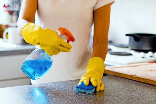 Professional one off cleaning service in SE5 refreshing a living room
