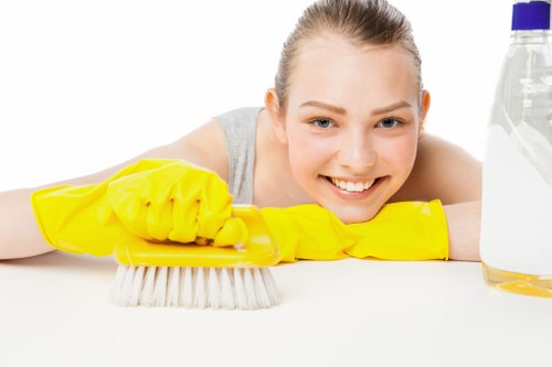 Trusted cleaner in SE5 improving hygiene and home comfort