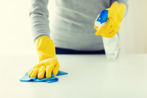 Accessibility support notice for Carpetcleaning SE5