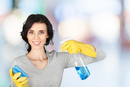 Carpet cleaning team introducing the About Us Carpetcleaning SE5 company story