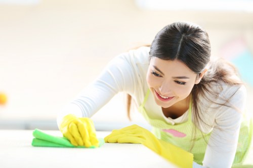 Local SE5 cleaners providing domestic and commercial cleaning solutions