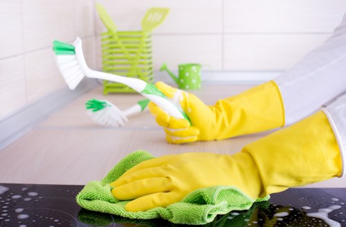 Inspection of electrical carpet cleaning equipment and cables before use