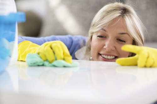 Local cleaners providing house cleaning in SE5 for family homes